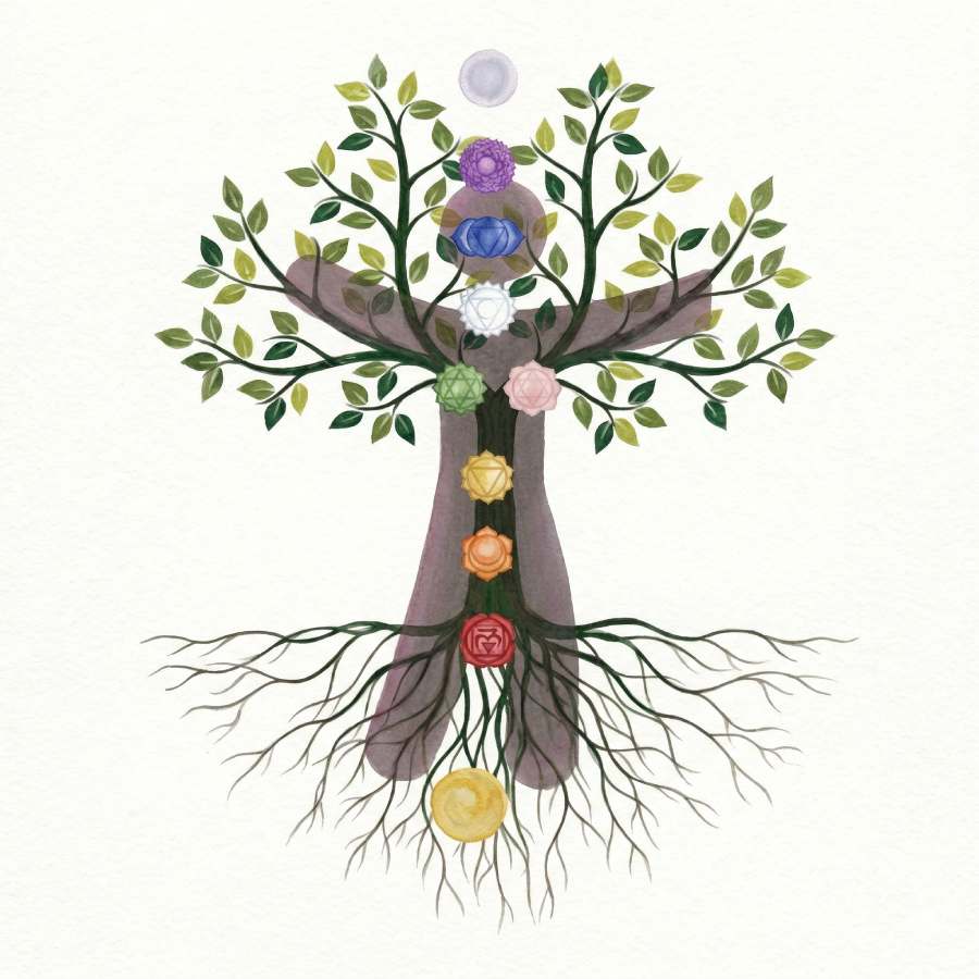 selbstfeld-ausbildung-chakrenbaum Selbstfeld-Ausbildung Chakrenbaum