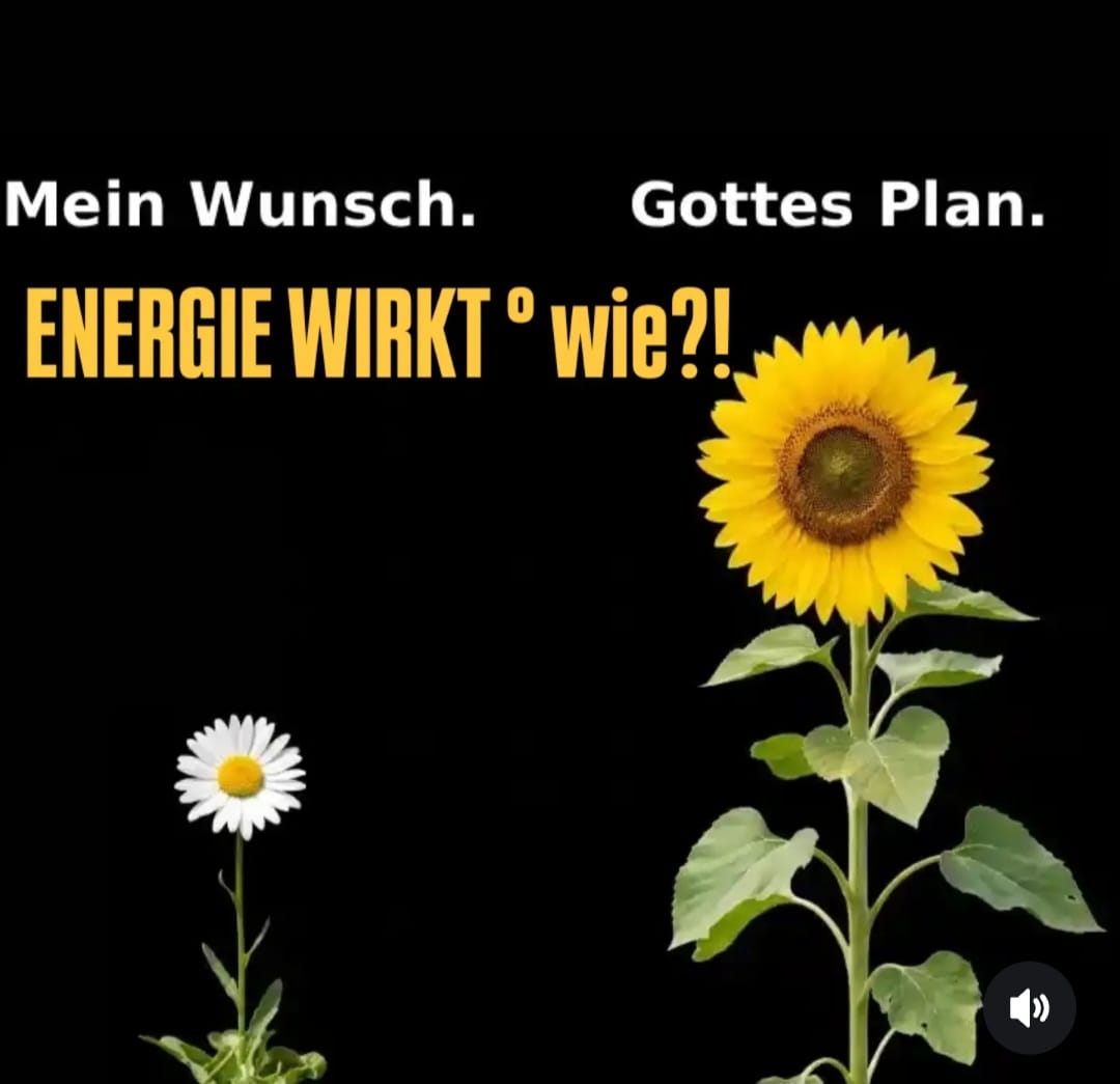 Energie-wirkt-wie