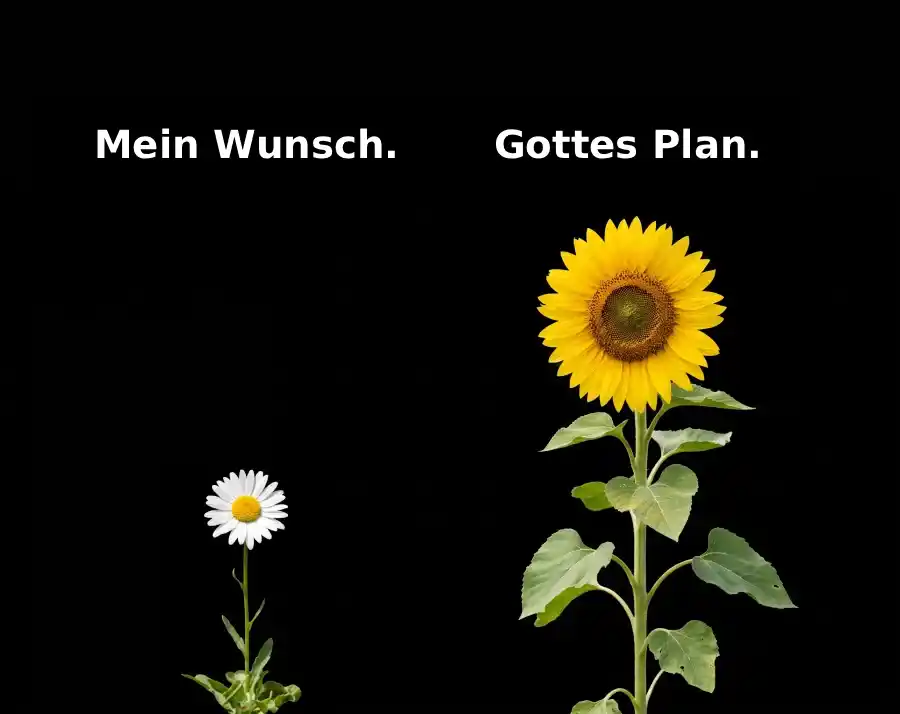 Mein Wunsch. Gottes Plan.